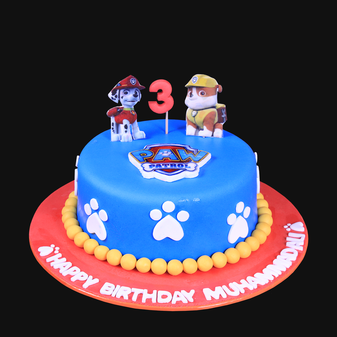 Paw Patrol Theme Cake – Sacha's Cakes